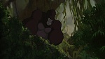 Image Tarzan