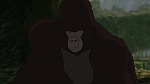 Image Tarzan