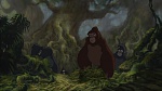 Image Tarzan