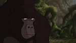 Image Tarzan