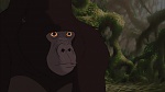 Image Tarzan