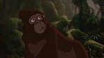 Image Tarzan