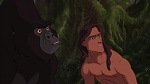 Image Tarzan