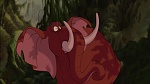 Image Tarzan