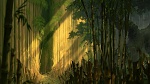 Image Tarzan