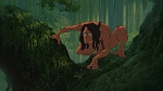 Image Tarzan