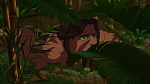 Image Tarzan