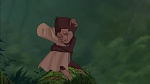 Image Tarzan