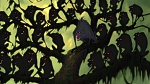 Image Tarzan