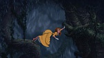 Image Tarzan