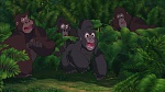 Image Tarzan