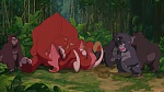 Image Tarzan