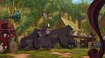 Image Tarzan