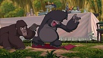 Image Tarzan