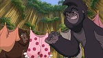 Image Tarzan