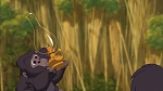 Image Tarzan