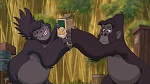 Image Tarzan