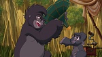 Image Tarzan