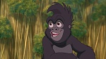 Image Tarzan