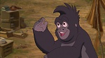 Image Tarzan
