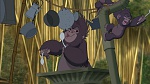 Image Tarzan