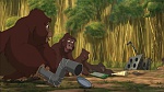 Image Tarzan