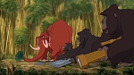 Image Tarzan