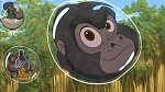 Image Tarzan