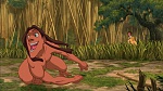 Image Tarzan