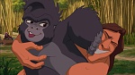 Image Tarzan