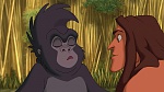 Image Tarzan