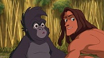 Image Tarzan