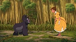 Image Tarzan