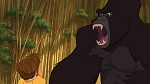 Image Tarzan