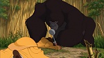 Image Tarzan