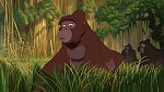 Image Tarzan