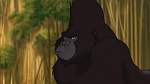 Image Tarzan