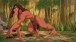 Image Tarzan
