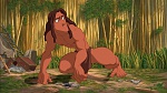 Image Tarzan