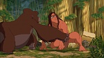 Image Tarzan