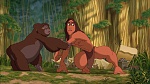 Image Tarzan