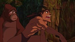 Image Tarzan