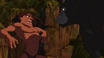 Image Tarzan