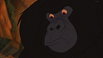 Image Tarzan
