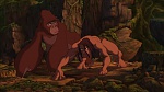 Image Tarzan