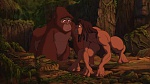 Image Tarzan
