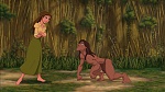 Image Tarzan