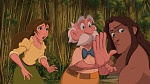 Image Tarzan