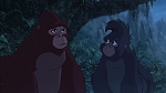 Image Tarzan