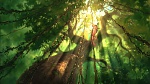Image Tarzan